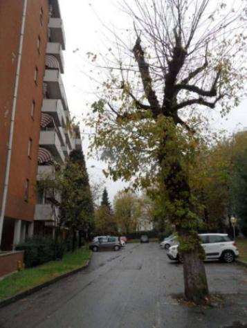 Immobile in asta di 66 m², box auto in vendita a Carpi - Foto 11