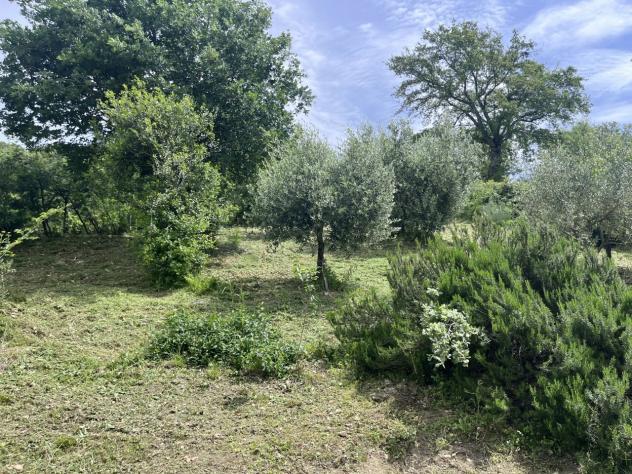 Porzione di casa in vendita a Manciano - Foto 14