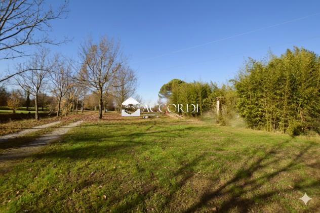 TERRENO AGRICOLO di 54401 mq (QUARTO D'ALTINO) rif. SWD1 - Foto 4