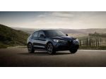 ALFA ROMEO Stelvio 2.2 TD 210 CV AT8 Q4 Veloce rif. 17473324
