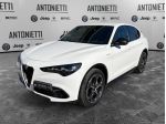 Alfa Romeo Stelvio Stelvio 2.2 TD Veloce Q4 210cv AT8