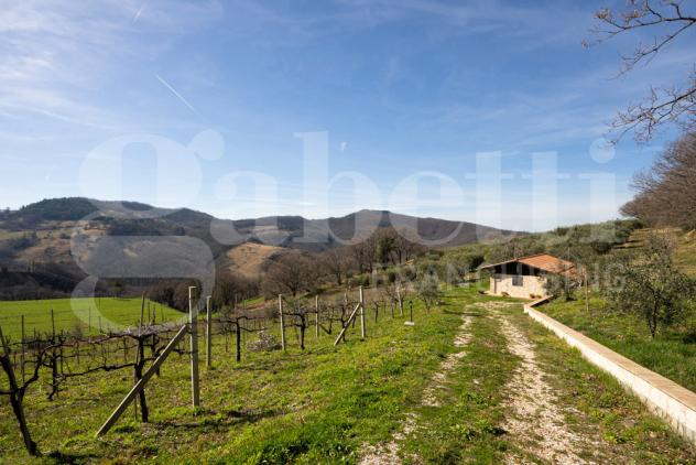 Rustico/Casale/Corte - Assisi . Rif.: 2026/009 AVCG - Foto 9