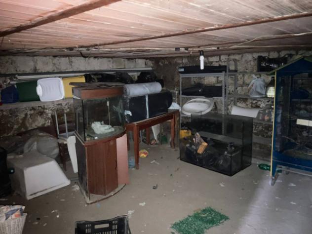 Immobile in asta di 119 m² in vendita a Arzano - Foto 7