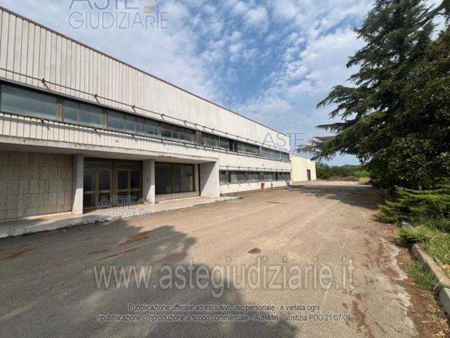 IMMOBILI-IMMOBILE INDUSTRIALE-Via dei Platani, Strada Provinciale n. 30, Cepagatti PE, Italia - Foto 4