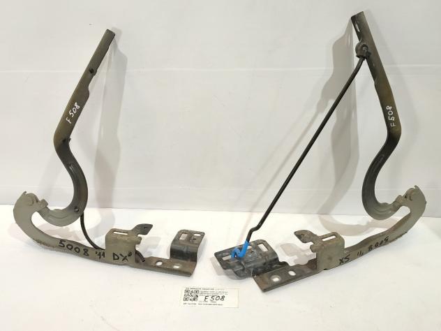 CERNIERE COFANO ANTERIORE DX E SX PEUGEOT 5008 1° Serie 9666842780 968586708B 968586748B DV6TED4-9HZ-9H01 (09)