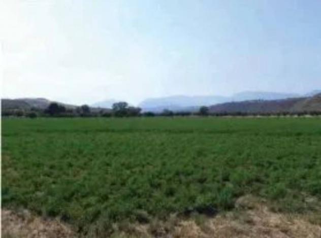 Immobile in asta di 37060 m² in vendita a Roggiano Gravina - Foto 5
