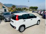 FIAT Panda 1.2 EasyPower GPL 69cv CONDIZIONI AMMIREVOLI/ANT 0 rif. 18597117