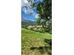 CHAMPOLUC GIUGNO