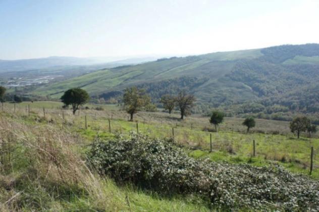 Immobile in asta di 1900000 m² in vendita a Piancastagnaio - Foto 4
