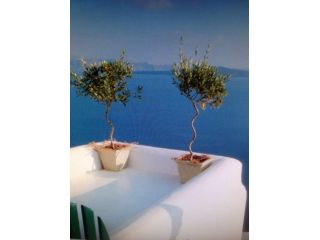 Massaggi - benessere Sesto San Giovanni - CONCEDITI UN ORA TUTTA PER TE , MASSAGGIO NEW AGE Tel:3335343233