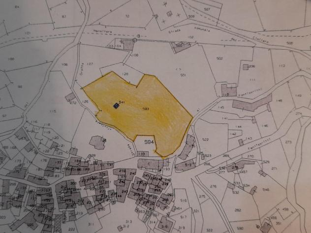 terreno agricolo in vendita a Carrara in zona Miseglia