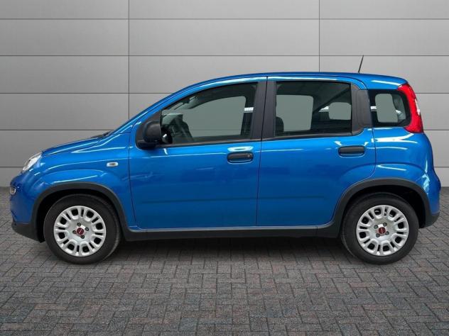 FIAT Panda III 2021 1.0 firefly hybrid s&s 70cv - Foto 2