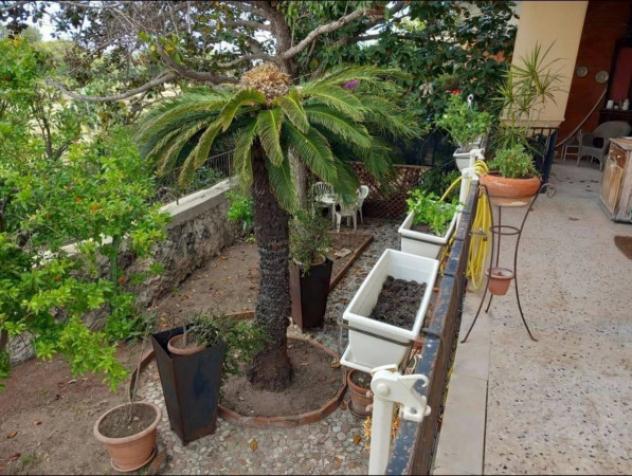 Immobile in asta di 192 m² con più di 5 locali in vendita a Siracusa - Foto 2