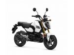 HONDA MSX 125 Grom my25