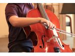 Violoncellista professionista