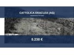 Immobile in asta di 20690 m² in vendita a Cattolica Eraclea
