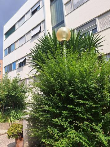 Appartamento in vendita a Pisa 122 mq Rif: 1423220