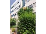 Appartamento in vendita a Pisa 122 mq  Rif: 1423220