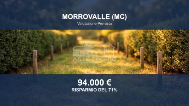 Immobile in asta di 4956 m² in vendita a Morrovalle