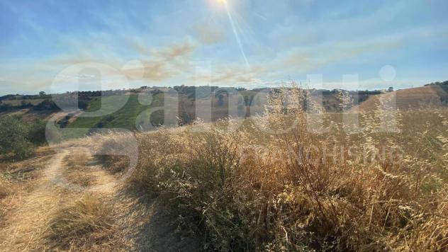 Terreno Agricolo - Roseto degli Abruzzi . Rif.: Cod. rif A132VRG - Foto 11