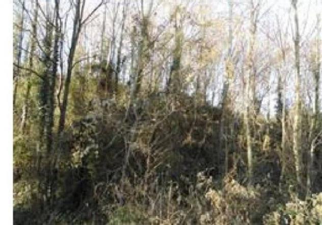 Immobile in asta di 5340 m² in vendita a Castello di Brianza - Foto 7