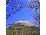 B&B Borgofortino