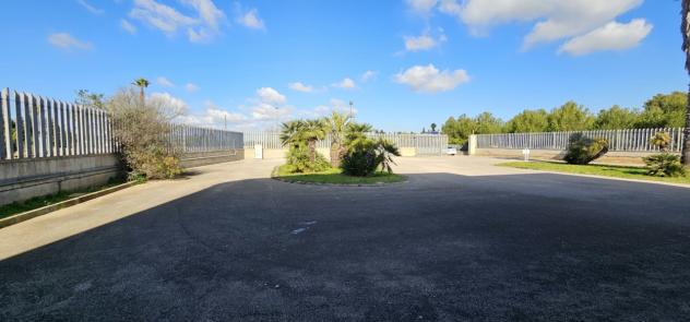 Locale commerciale in affitto a Galatone - Foto 4
