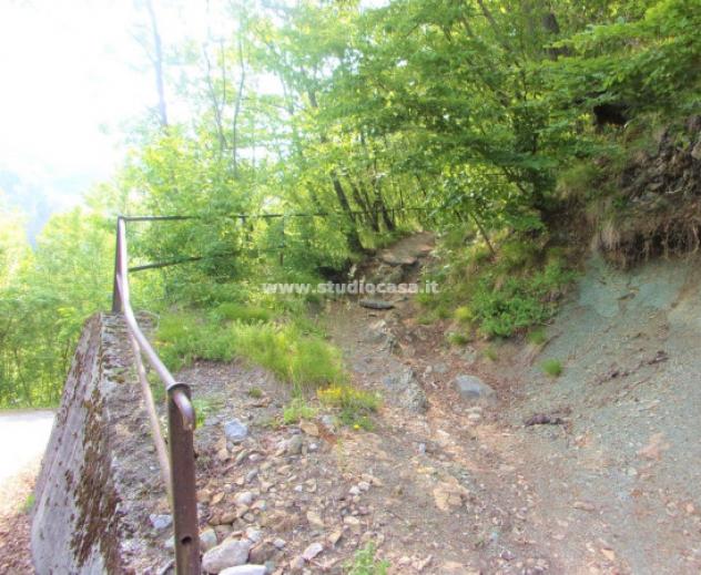 Terreno di 6000 m² in vendita a Gorno - Foto 5