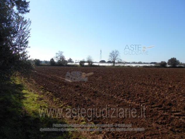 IMMOBILI-ALTRA CATEGORIA-Prati di Coppola, Latina - Foto 5