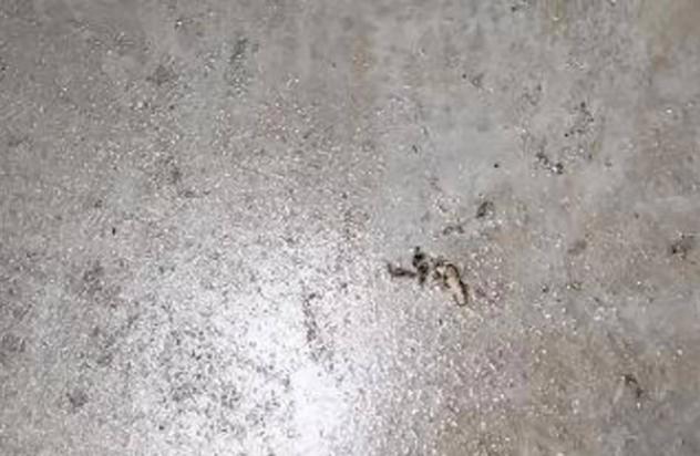 Immobile in asta di 27 m² in vendita a San Martino Siccomario - Foto 4
