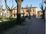 BORGO S LORENZO FONDO MQ 320 VETRINE STRADA