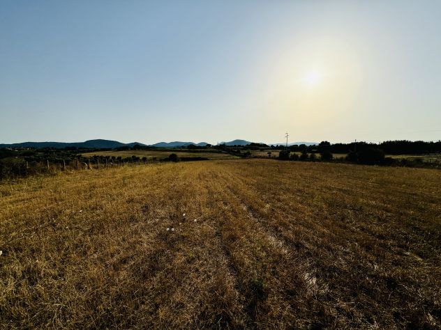 Terreno Agricolo in Bracciano - Foto 6