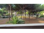 Appartamento in vendita a Livorno 100 mq  Rif: 1450532