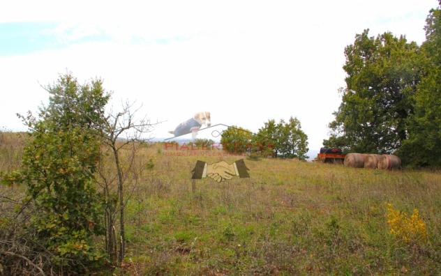 Orvieto - Vendesi PORZIONE di casale panoramico su Orvieto, ristrutturato al grezzo. - Foto 3