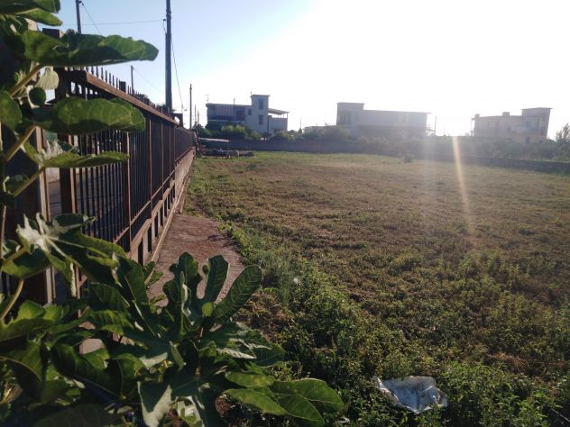 Terreno agricolo - Foto 3