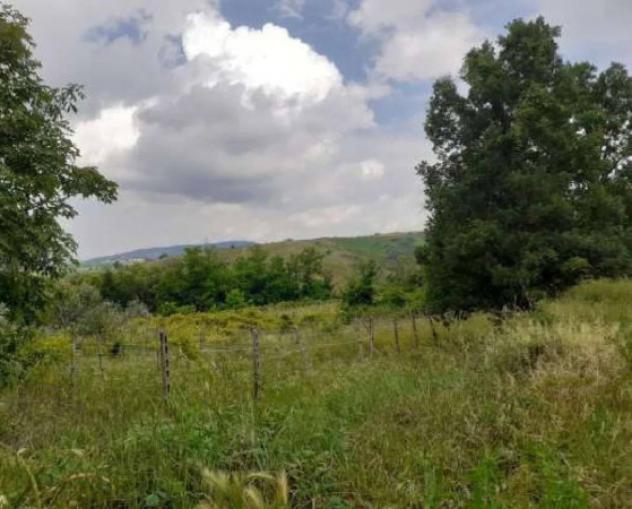 Immobile in asta di 2535 m² in vendita a Borgoratto Mormorolo - Foto 3