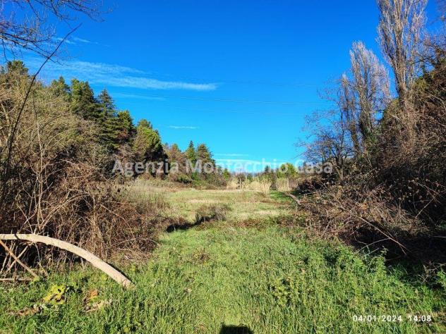 CASA COLONICA CON RICOVERO ATTREZZI, SILOS, TERRENO AGRICOLO E BOSCO - Foto 11