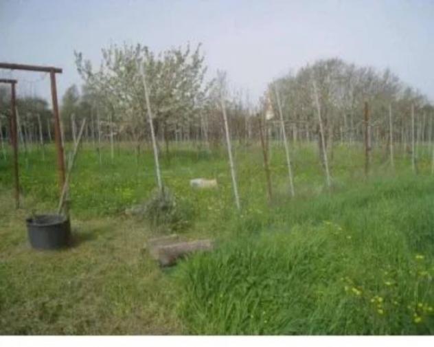 Immobile in asta di 3200 m² in vendita a Vignanello - Foto 2
