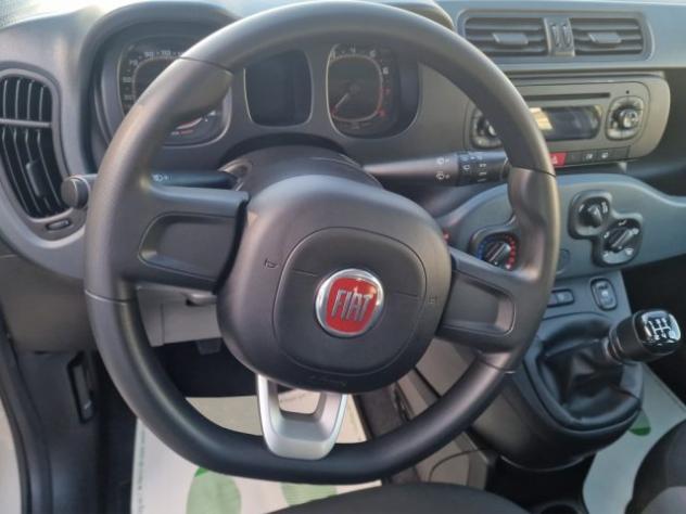 FIAT Panda 1.2 Easy rif. 24180409 - Foto 10