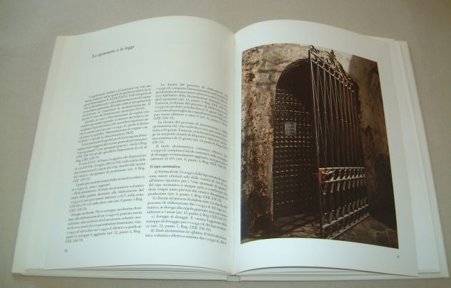 Spumanti in Franciacorta - Ottorino Milesi - Foto 6