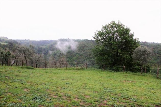 Orvieto (Loc. Morrano) - Vendesi proprietà da ristrutturare con terreno edificabile e ulteriori 2,5 ha di terreno - Foto 3