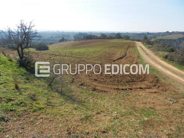 Terreno di 46370 mq in vendita a Montescaglioso - Rif. 4555042 - Foto 14