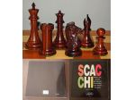 SCACCHI, Angelo Paolo Vaccher, idea Libri Milano, Prima edizione 1993.
