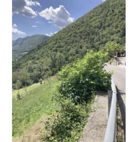 206/2025 2 BS - Terreni in asta in zona collinare a Botticino - Foto 3