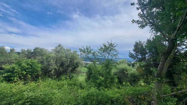 Casale in vendita a Pesaro - Foto 10