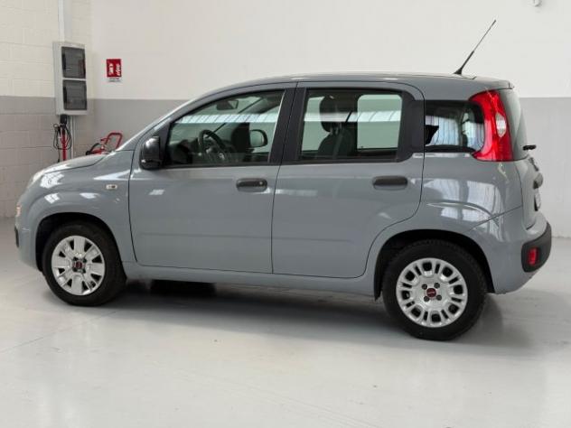 FIAT Panda 1.2 Easy PREZZO REALE rif. 23905234 - Foto 8