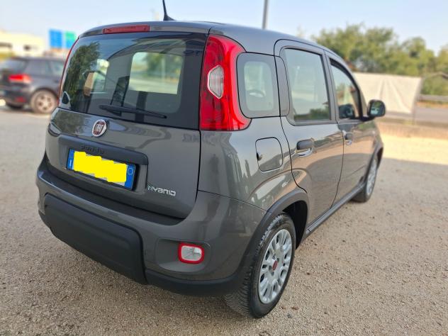 Fiat Panda 1.0 Hybrid - Foto 9