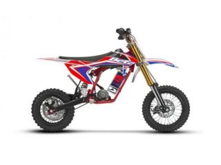 BETAMOTOR Minicross-Electric Li-Ion rif. 18196933