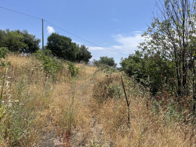 Agricolo in vendita a Belpasso - Foto 2