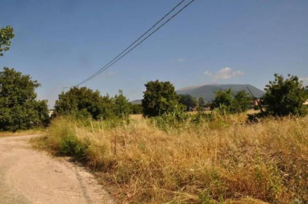 Immobile in asta di 42000 m² in vendita a Foligno - Foto 3